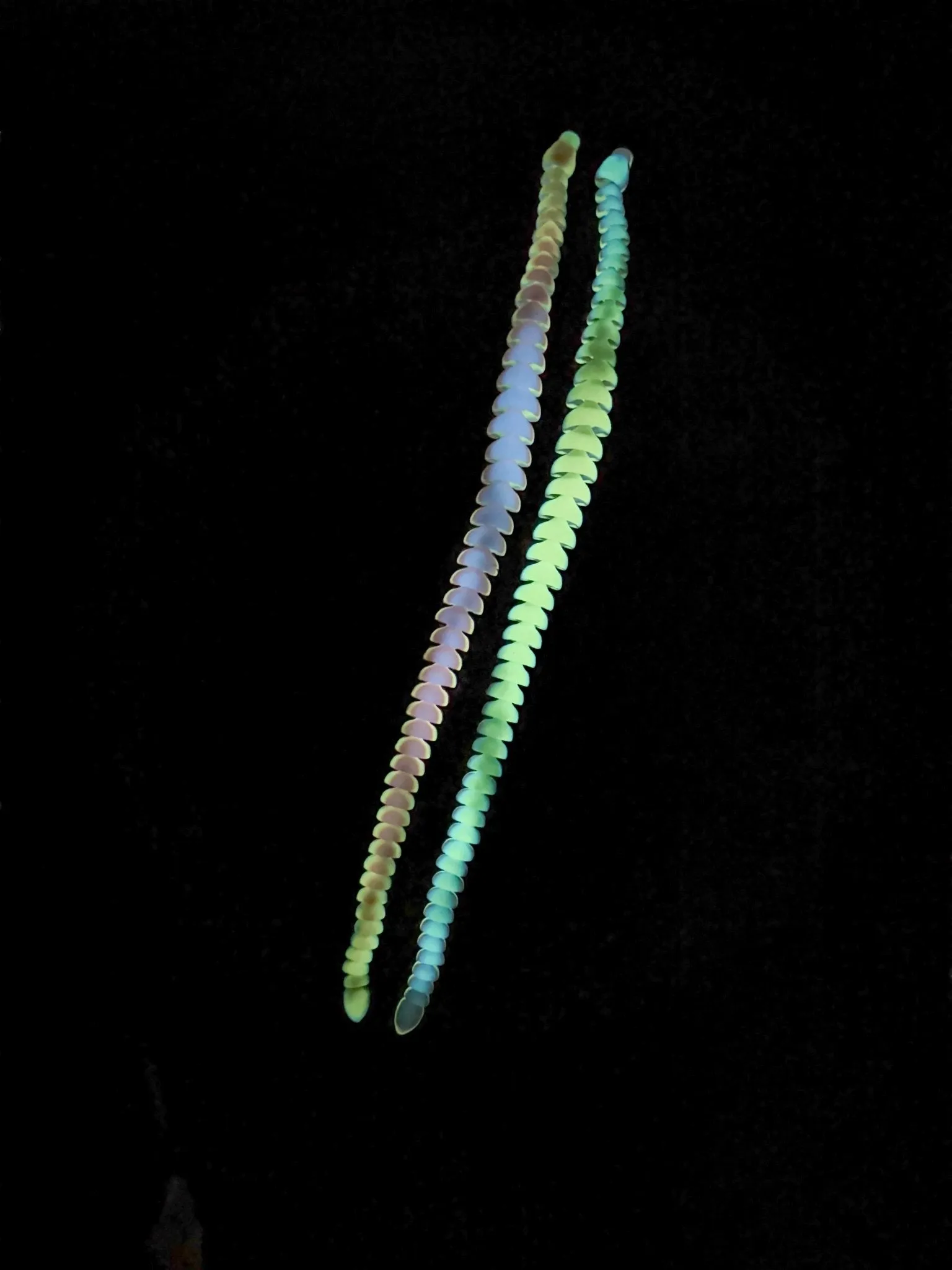 32-Inch Articulated Rainbow Snake – 3D Printed, Glow-in-the-Dark Fidget Toy