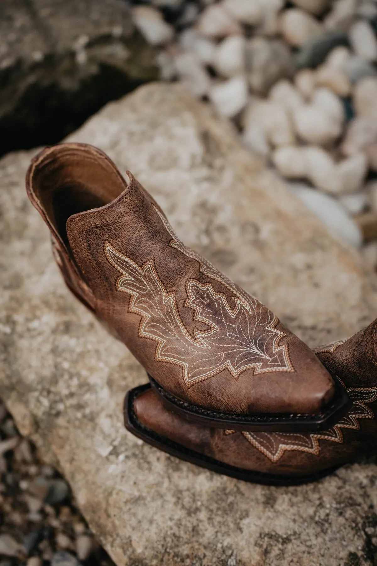 Ariat Dixon Low Heel - Brown {Sizes 5.5 & 6.5  ONLY}