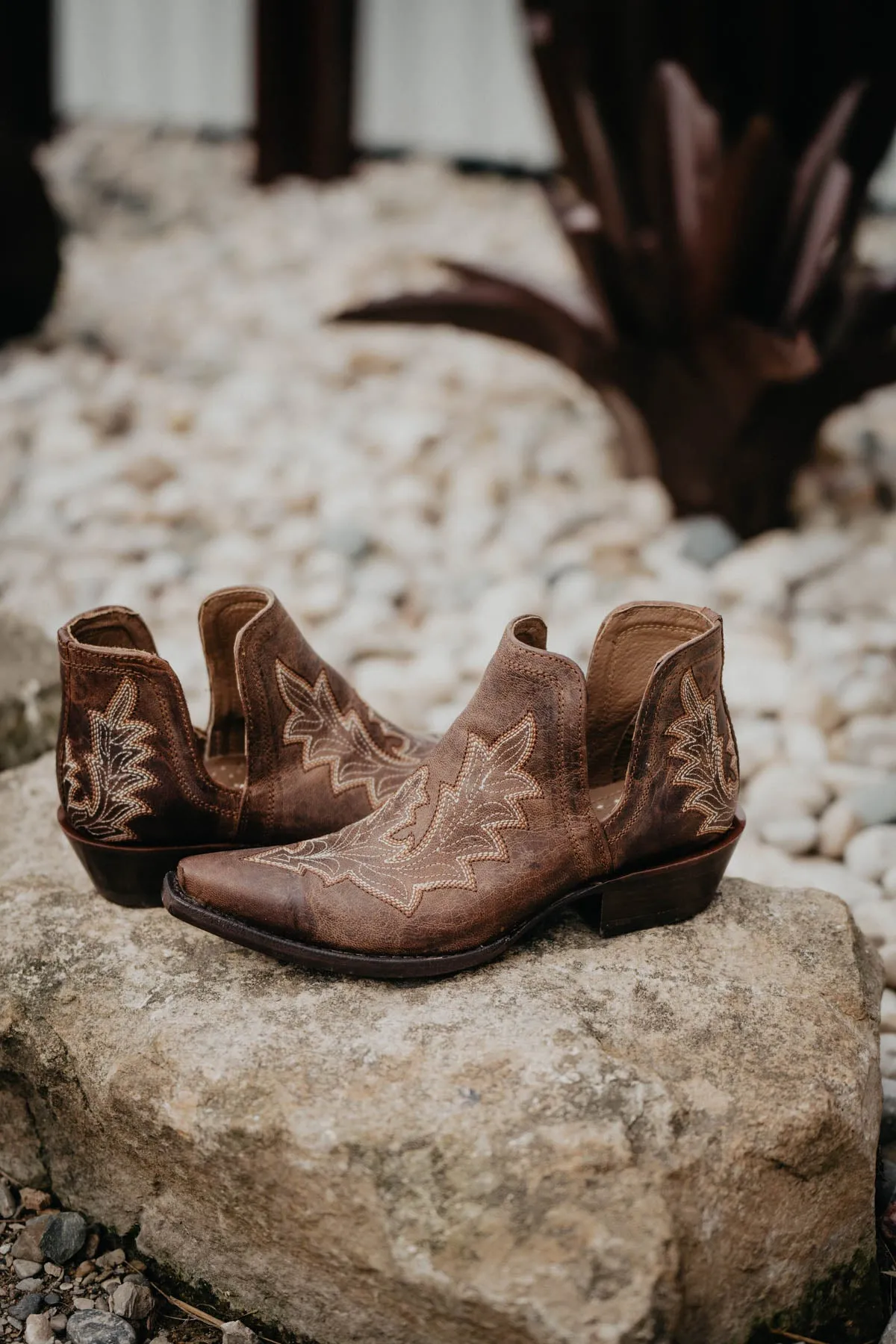 Ariat Dixon Low Heel - Brown {Sizes 5.5 & 6.5  ONLY}