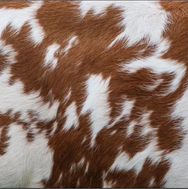 Brown & White Cow Hide Printed Vinyl