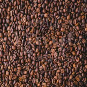 Coffee Bean Printed Vinyl
