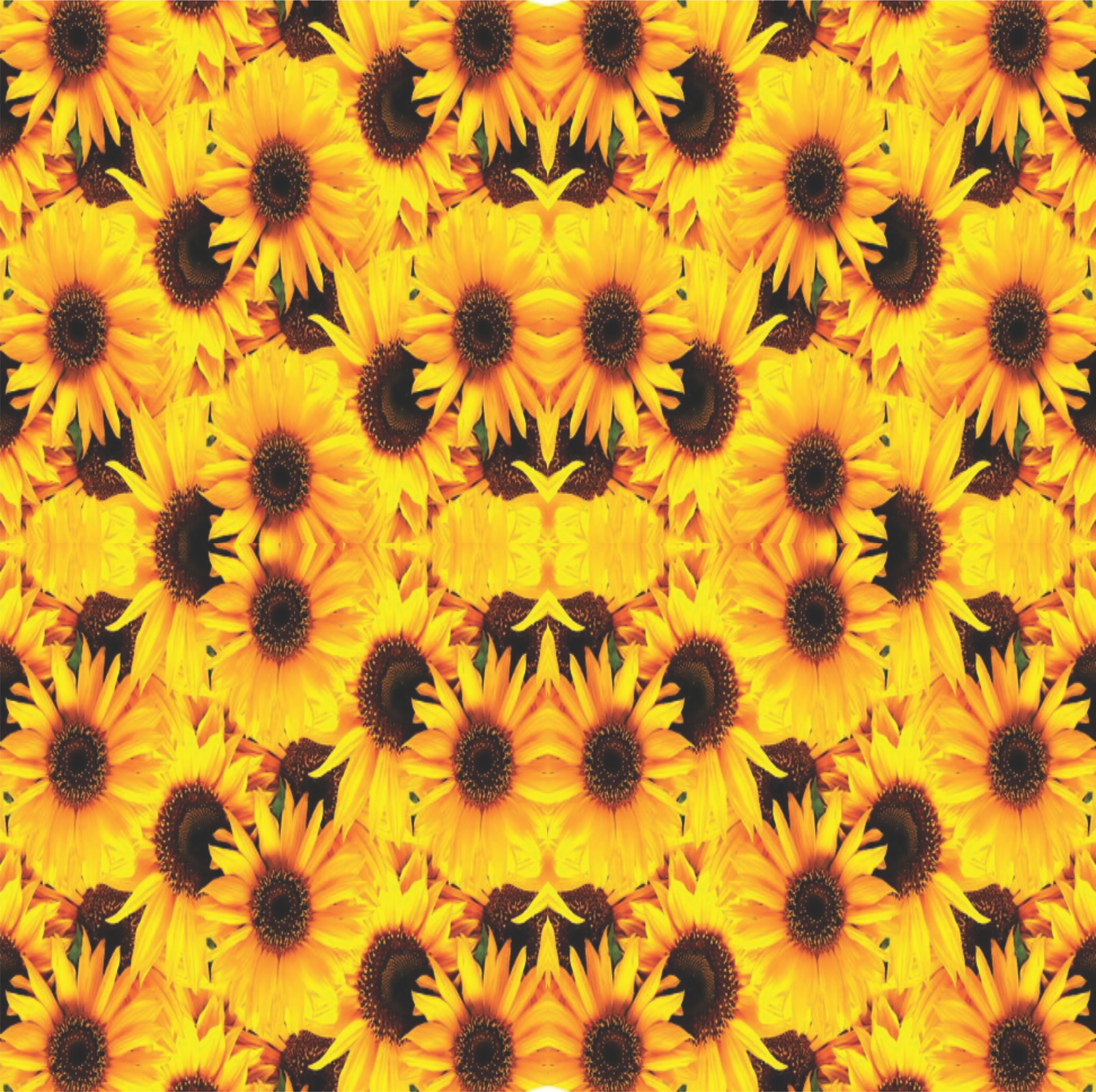 Floral Sticky Back Vinyl