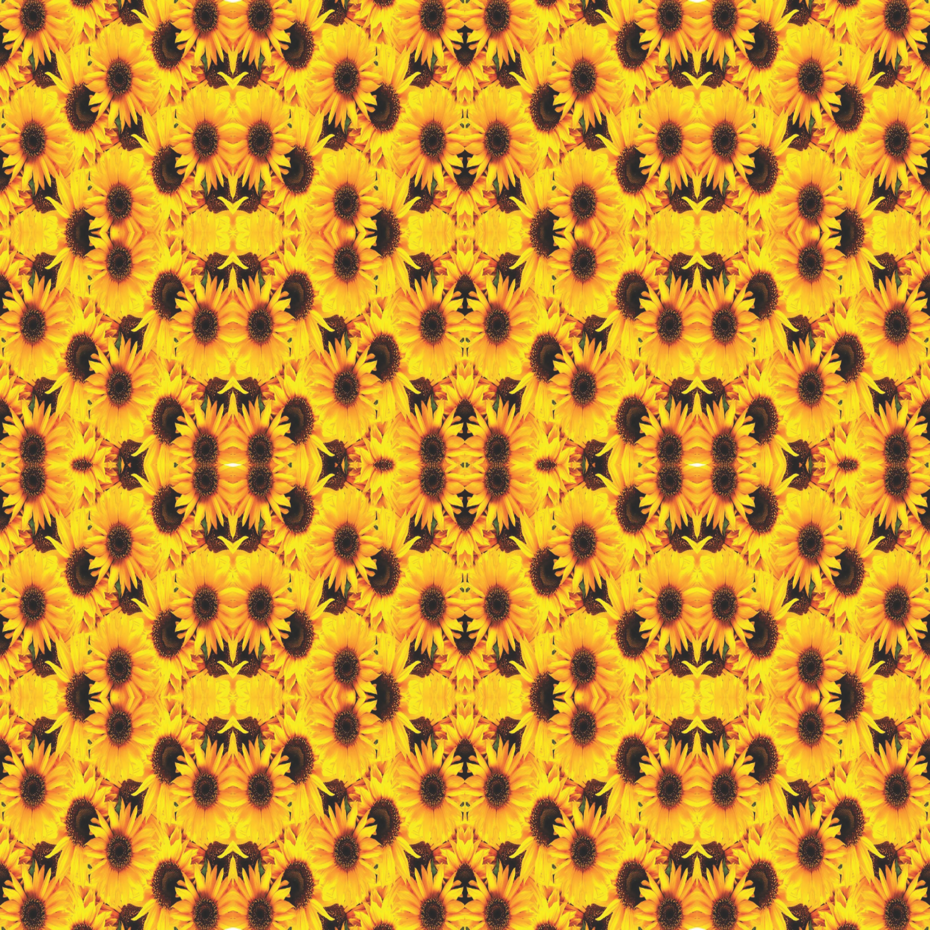 Floral Sticky Back Vinyl