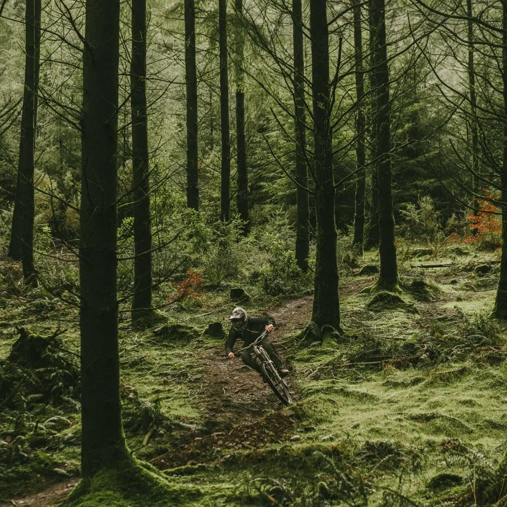 Goodyear - Newton MTF Enduro - 29 X 2.5