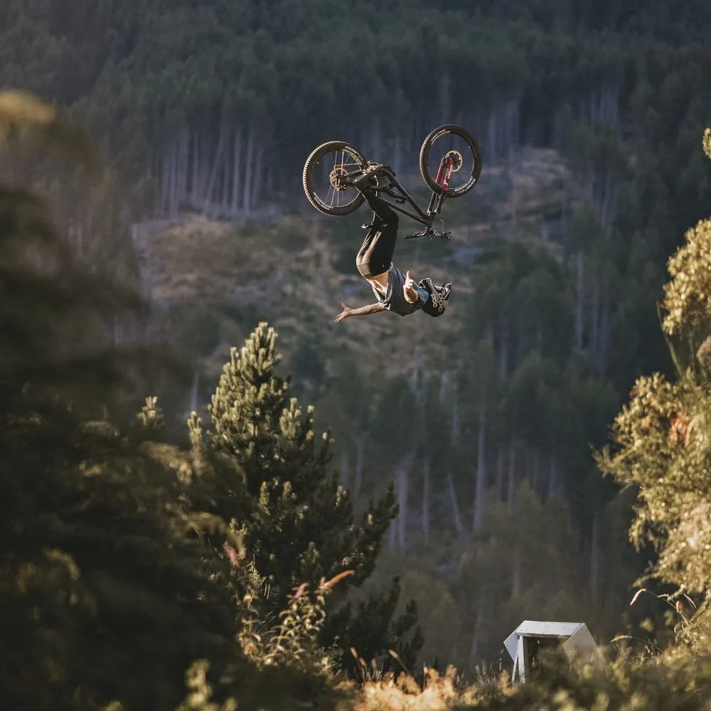 Goodyear - Newton MTF Enduro - 29 X 2.5