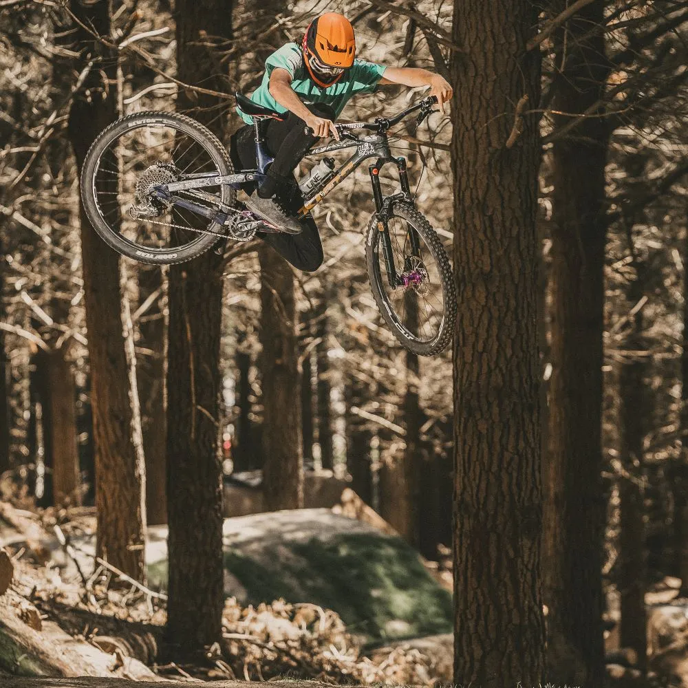 Goodyear - Newton MTF Enduro - 29 X 2.5