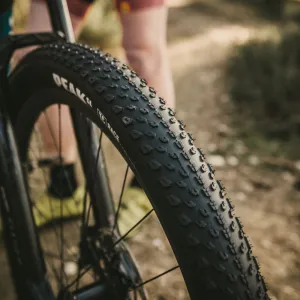 Goodyear Peak Sl Race Tyre 29 Tubeless Complete