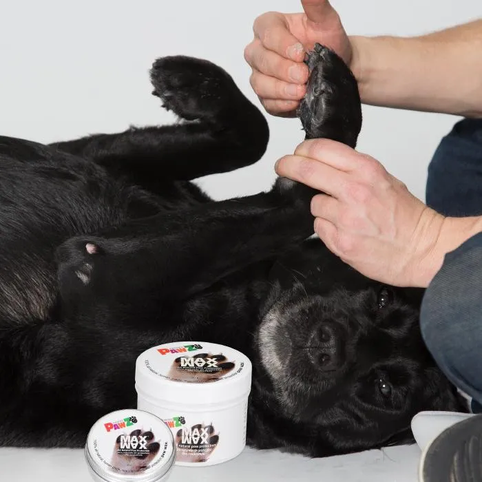 Pawz Max Wax Protection - Our version of the "Mushers Secret" to protect your dog's paws from ice build-up!