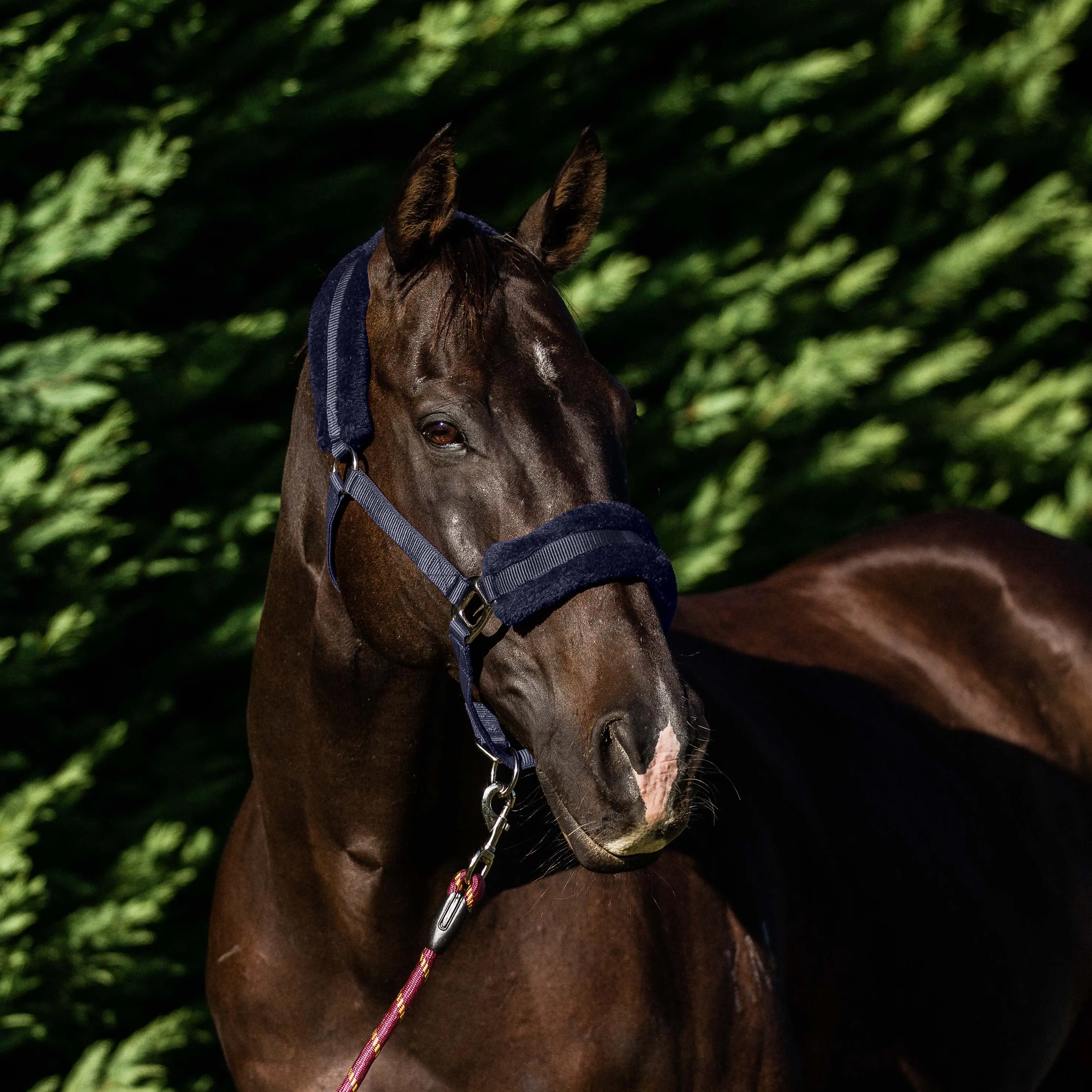 Plush Fleece Lined Halter - Navy