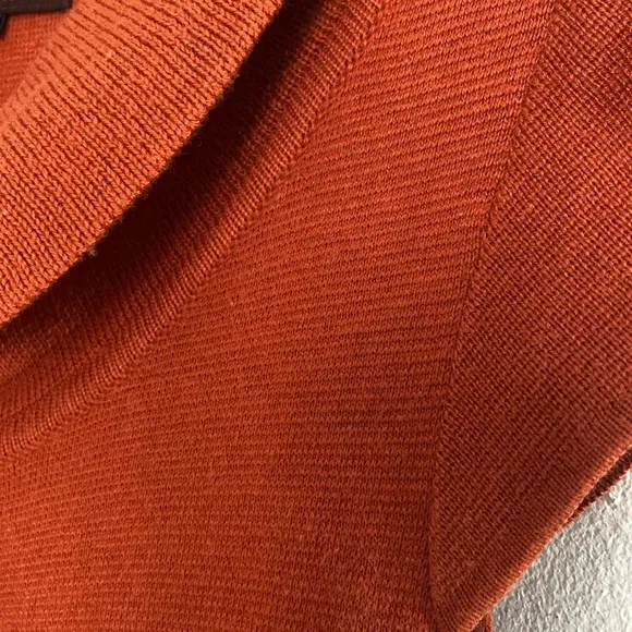 RARE Anthropologie Shae burnt orange knit mod dress, L