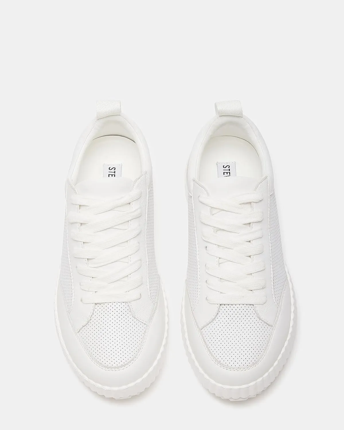 STEVE MADDEN SHOCK